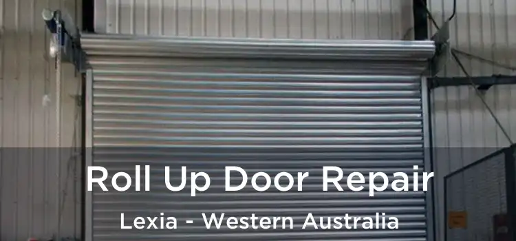 Roll Up Door Repair Lexia - Western Australia