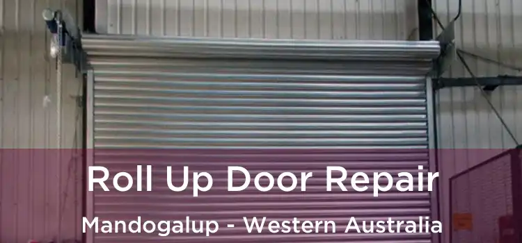Roll Up Door Repair Mandogalup - Western Australia