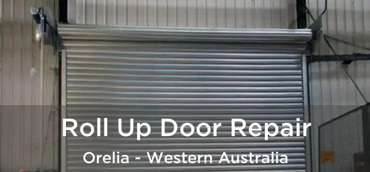 Roll Up Door Repair Orelia - Western Australia