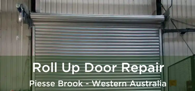 Roll Up Door Repair Piesse Brook - Western Australia
