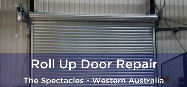 Roll Up Door Repair The Spectacles - Western Australia