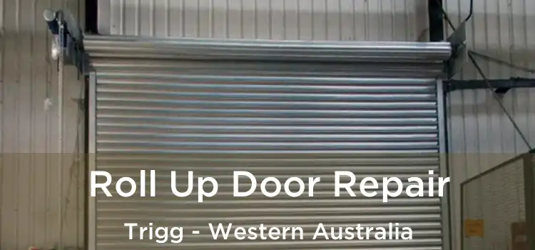 Roll Up Door Repair Trigg - Western Australia