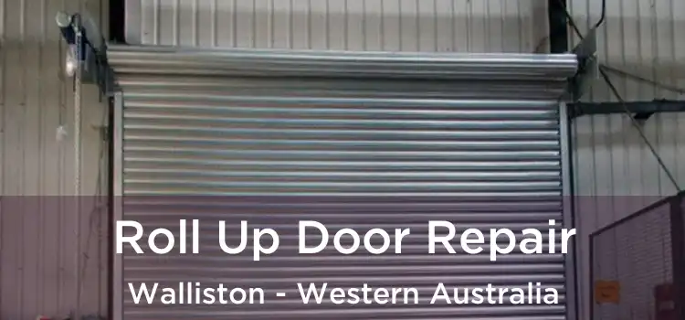Roll Up Door Repair Walliston - Western Australia